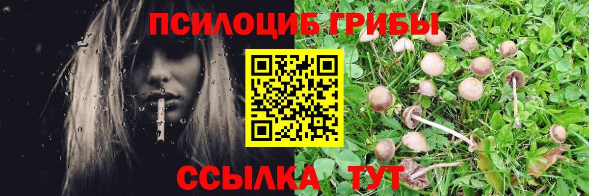 Псилоцибиновые грибы Cubensis Корсаков